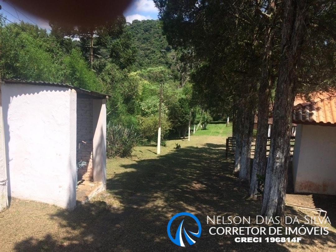 Fazenda à venda com 8 quartos, 1000m² - Foto 11